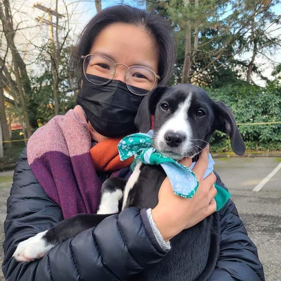 Hugging a puppy that isn't mine